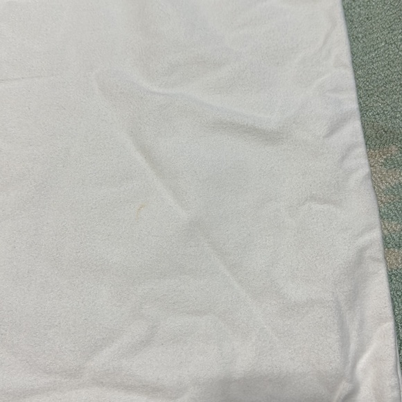 13x24” Bottega Veneta Dust Bag - Picture 4 of 4